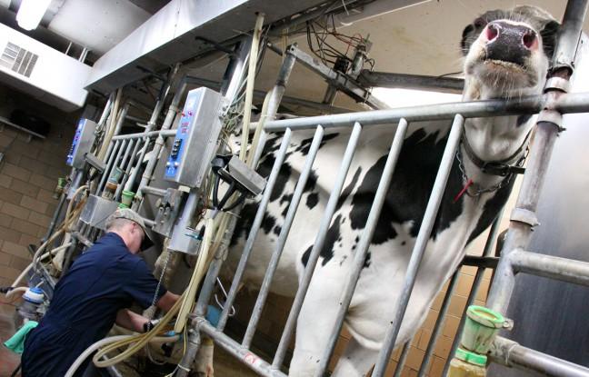 UW dairy science research aims to support Wisconsin dairy farms