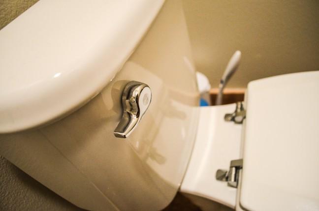 The city looks to offer rebates to residents who exchange old toilets for eco-friendly ones.
