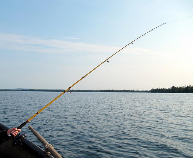 DNR to ban the use of lead in fishing bait