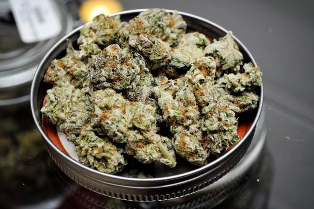 Wisconsin behind trend to legalize weed