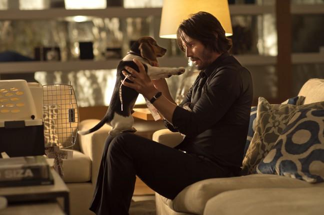 Despite beautiful action sequences, John Wick looks like advertisement for scotch