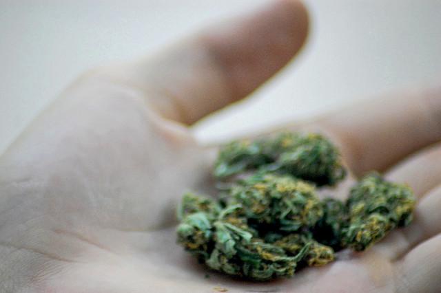 Fake weed” contaminated with rat poison causes severe bleeding, DHS warns ·  The Badger Herald