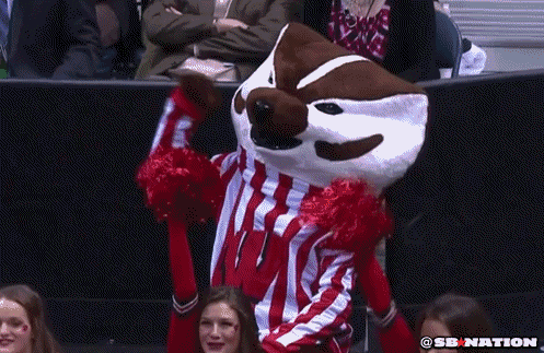 Bucky Badger waves as he pumps up the crowd with cheerleaders at a Badger game.