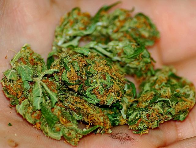 Proposed bills involving recreational usage of marijuana nothing more than a smoke dream