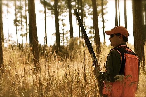 Legislator proposes changes to hunting regulations in state parks