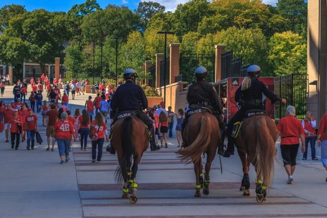 Once horses are ready to patrol large events like games, they can serve as a link between law enforcement and the community.