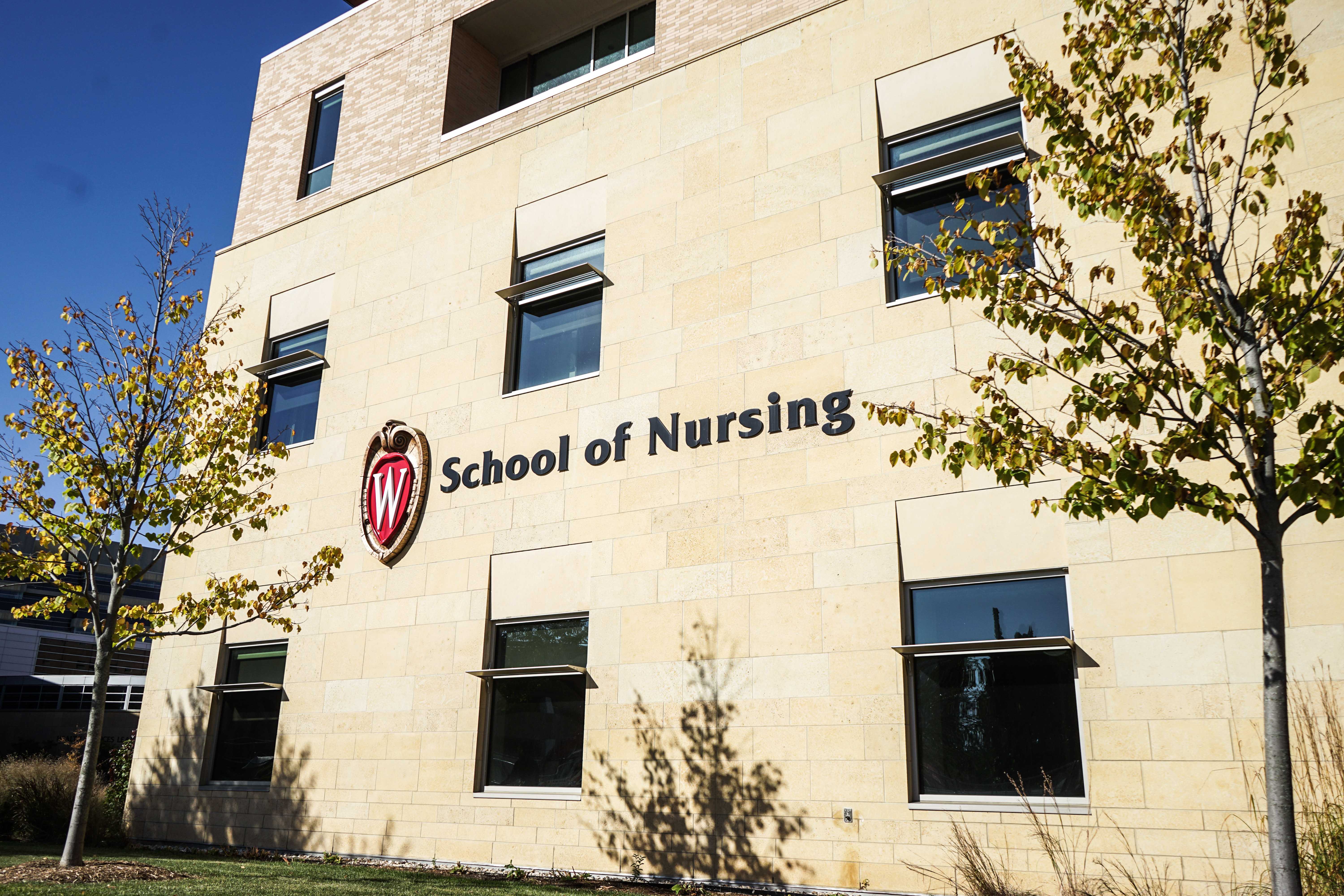 Badger Nurse Network – School of Nursing – UW–Madison