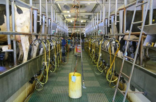 Wisconsin dairy industry needs reform amid COP26 calls to fight climate change