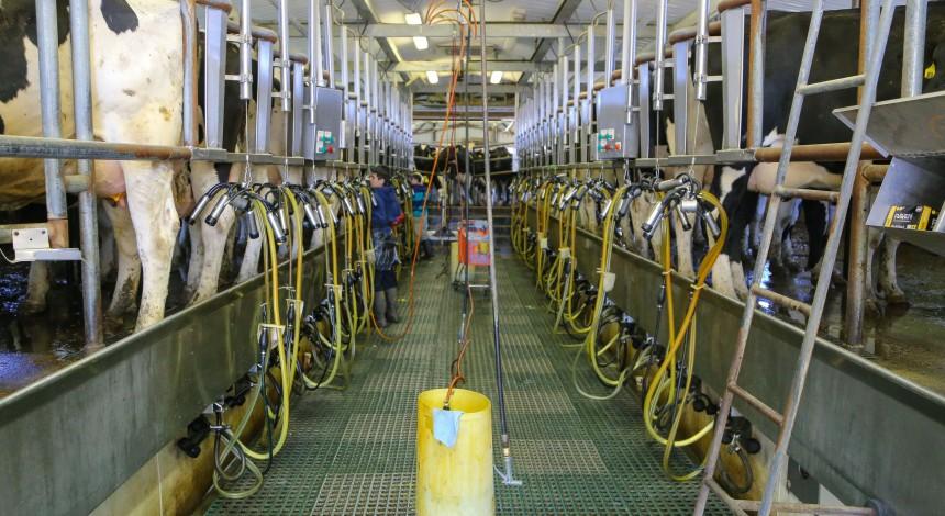 Wisconsin dairy industry needs reform amid COP26 calls to fight climate ...