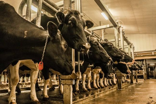 While only farmers themselves can understand the intricacies of running a factory farm, this does not put at ease the logical concerns citizens may have relating to the wellbeing of Wisconsin.