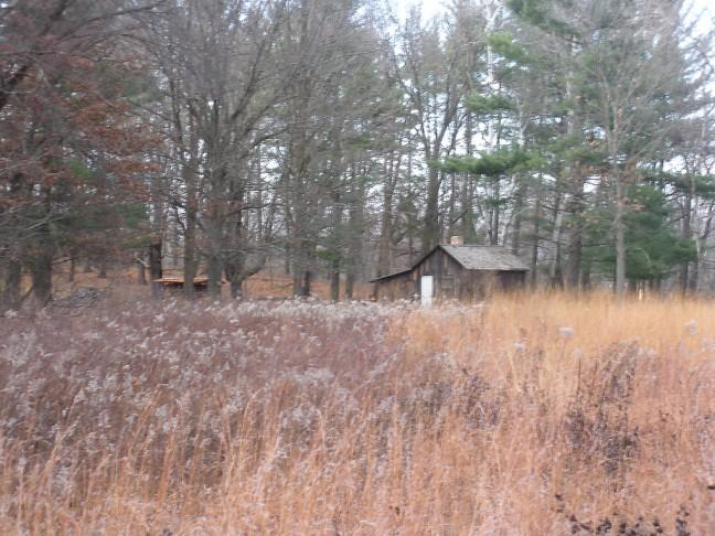 Learn about UWs most famous naturalist with the digitized Aldo Leopold archives