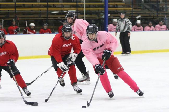 Madison Gay Hockey Association creates supportive atmosphere for LGBTQ community