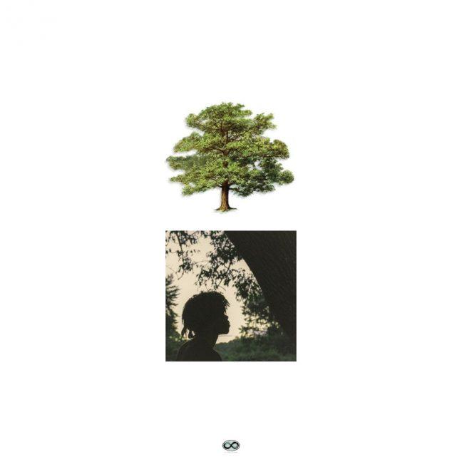 608 Release: Trapo flashes versatility on new LP Shade Trees