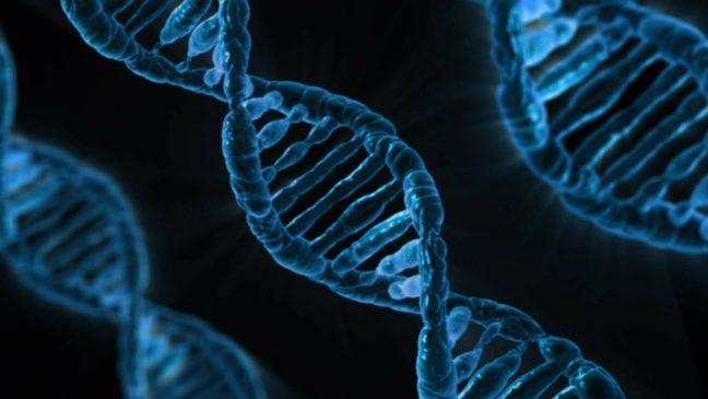 UW scientists research role of gene-editing in curing inherited diseases