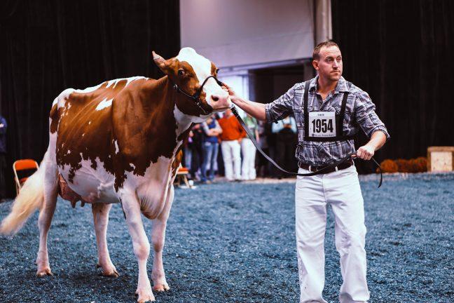 In photos: Farmers, cheese-lovers attend annual World Dairy Expo