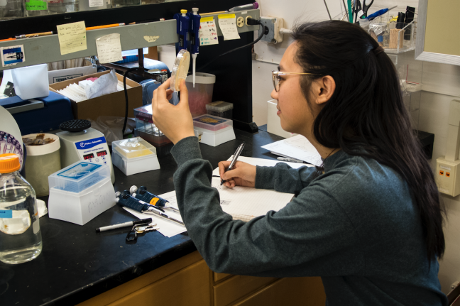 Wong jots down her observations of E. coli cultured in a petri dish.