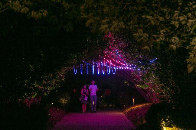 A couple explores Obrich Botanical Gardens in awe of the lights above them.