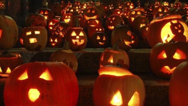 Theres still time to vote for WUDs pumpkin carving contest