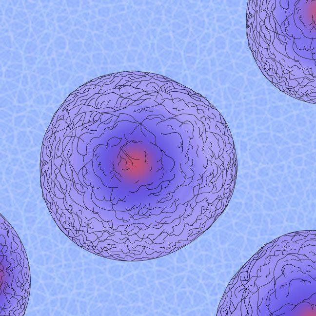 New findings on cell movement challenge existing theoretical models
