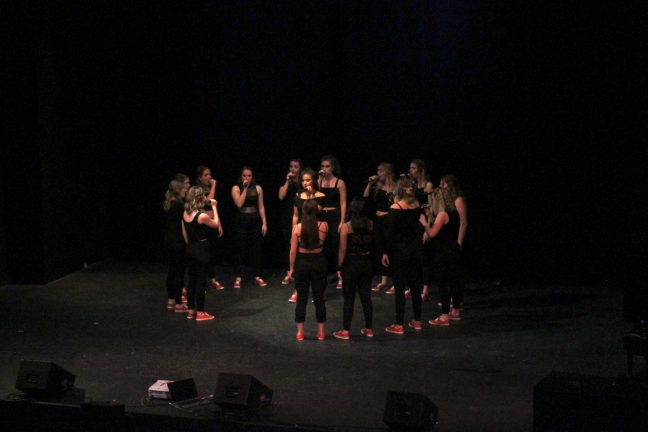 Pitches and Notes impart unique flair on a cappella set, impress Music Hall audience