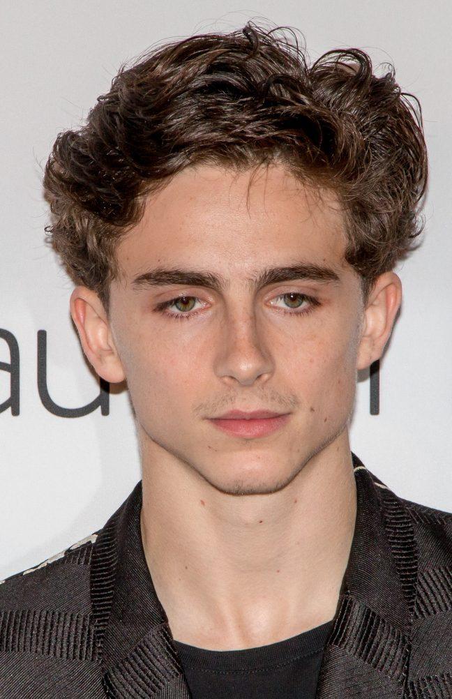 Timothee Chalamet leads royal cast in Netflix Original ‘The King’
