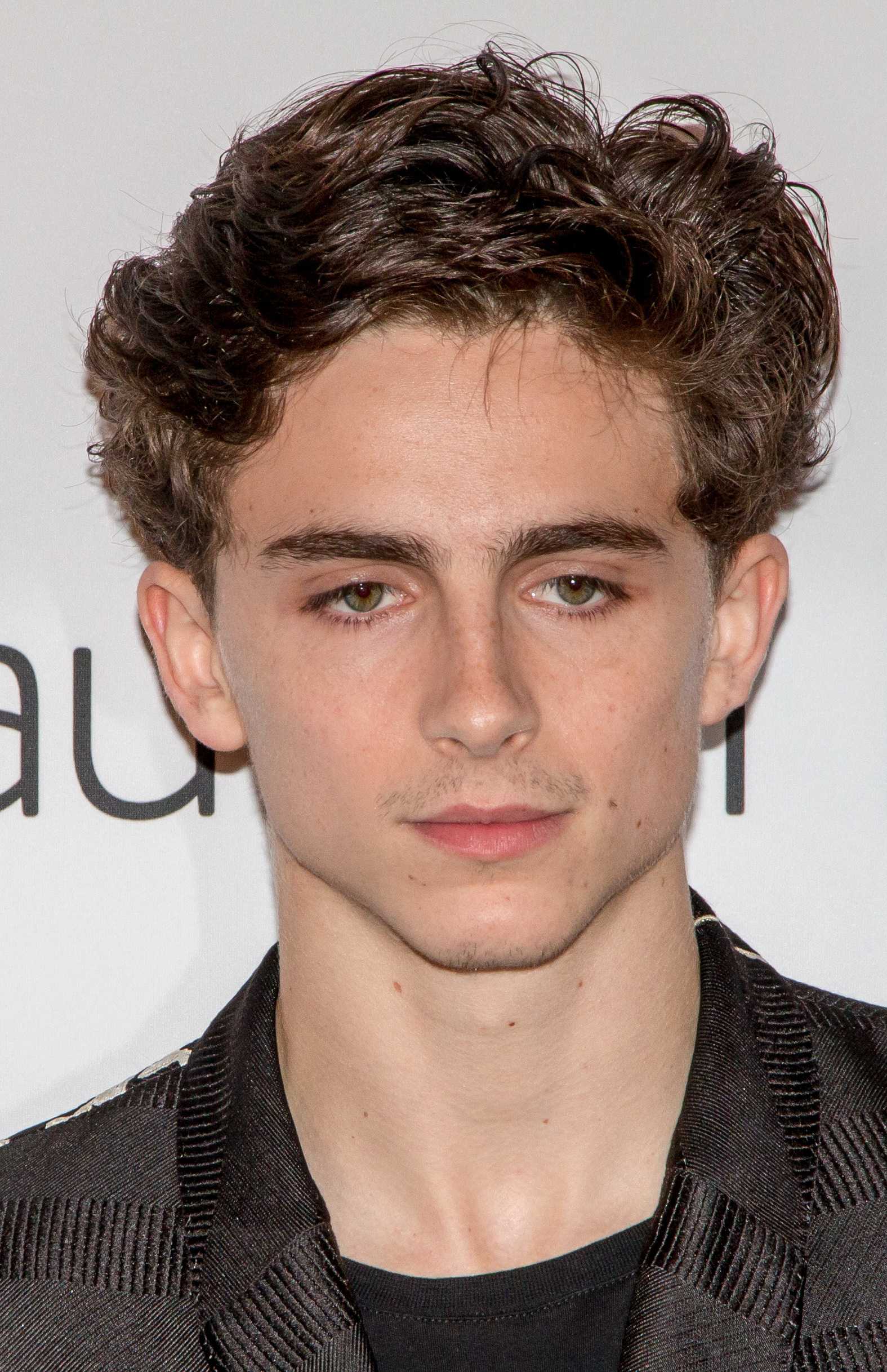 Exploring The Age And Journey Of Timothée Chalamet In 2024 