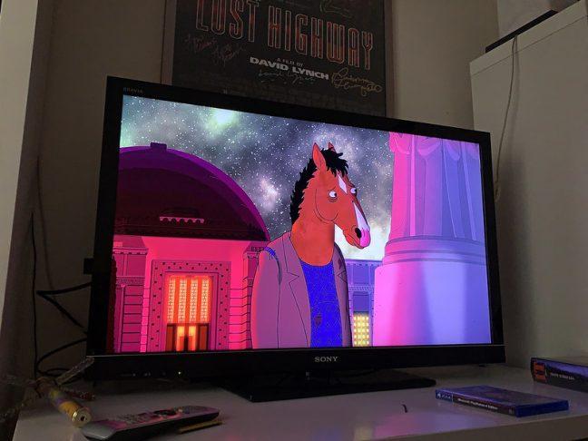 Curtain falls on Netflix original Bojack Horseman