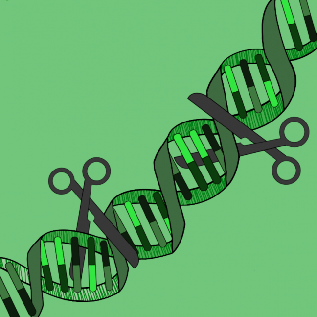A CRISPR Conundrum: With the advancement of gene editing technology, ethical challenges emerge for researchers, policymakers