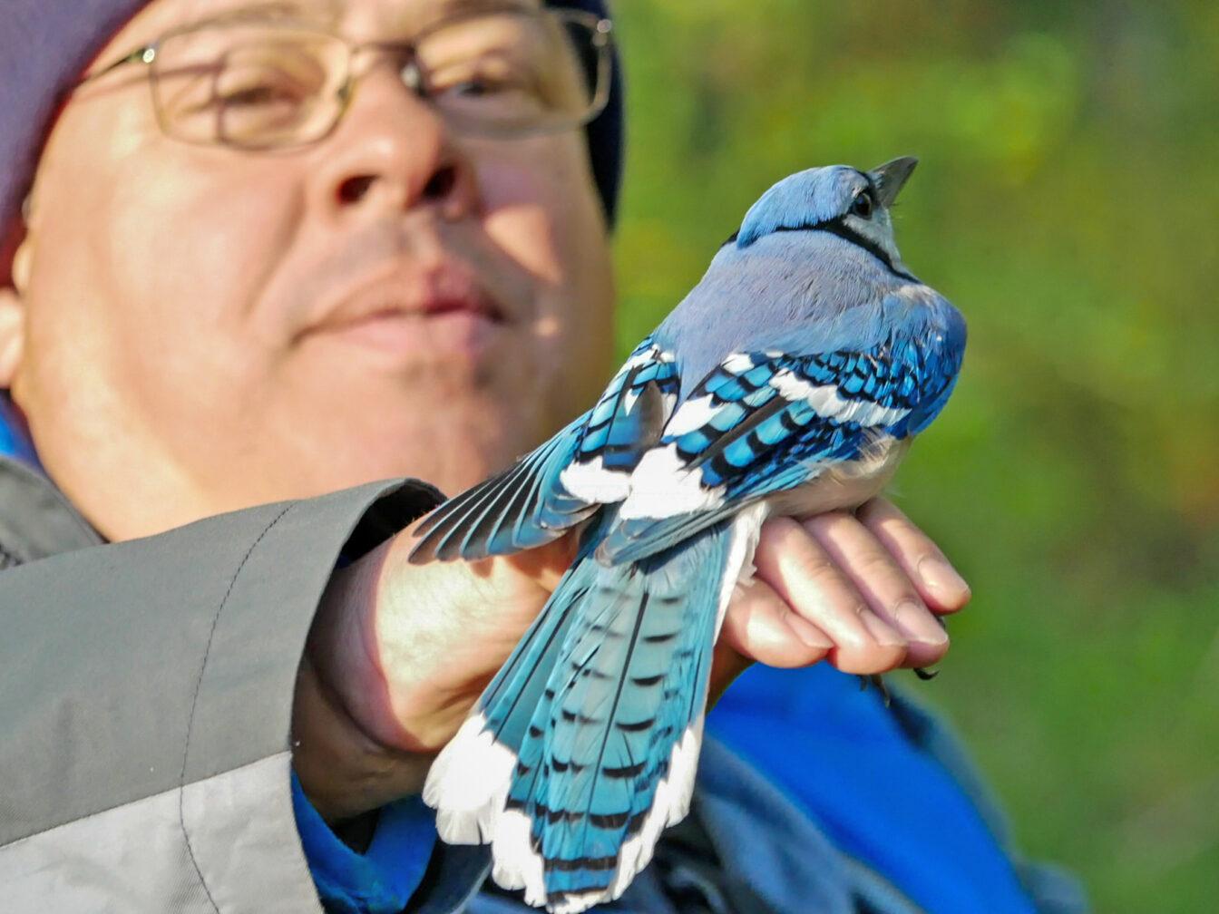 BIPOC Birding Club of Wisconsin co-founder Jeff Galligan holds a bird on a club outing 