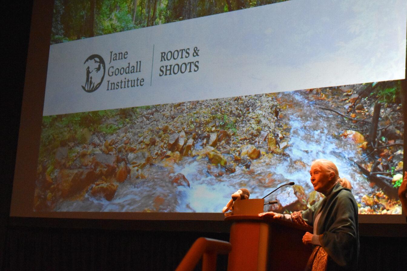 World+renowned+conservationist+Jane+Goodall+gives+lecture+at+Memorial+Union