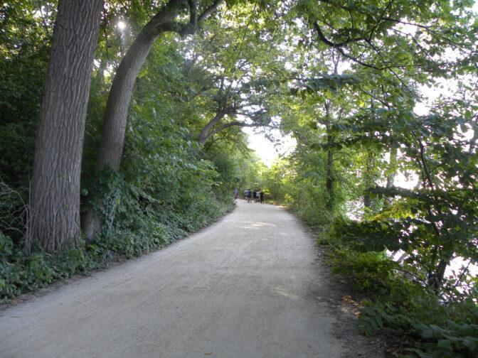 The Badger Herald archival photo of the Lakeshore Path. September 1, 2023.