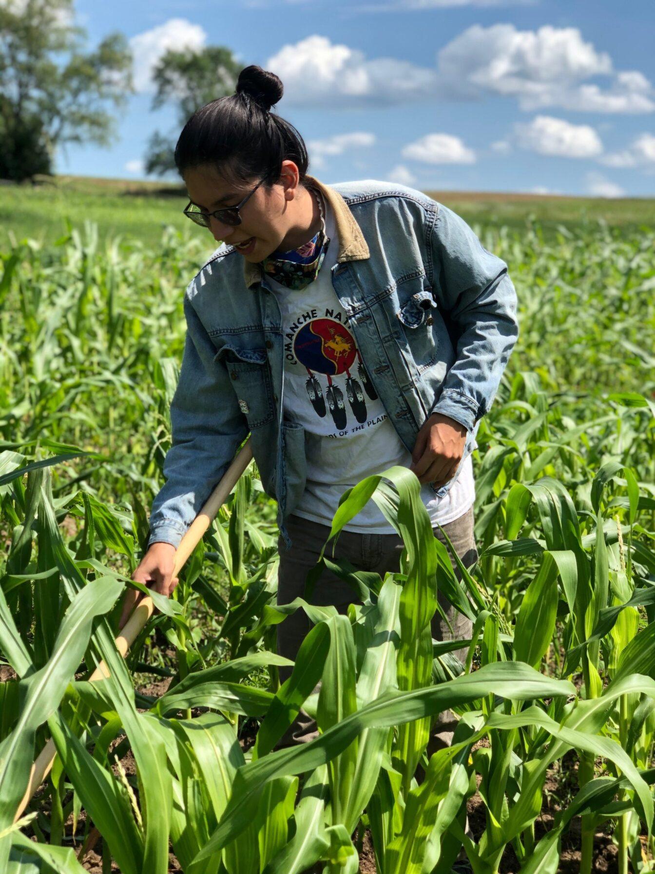 In collaboration with Oneida agricultural co-op, Ohelaku, and Dan Cornelius, CIAS summer researcher Hayden assesses crop productivity and plant-microbe interactions through a diverse set of cropping systems.