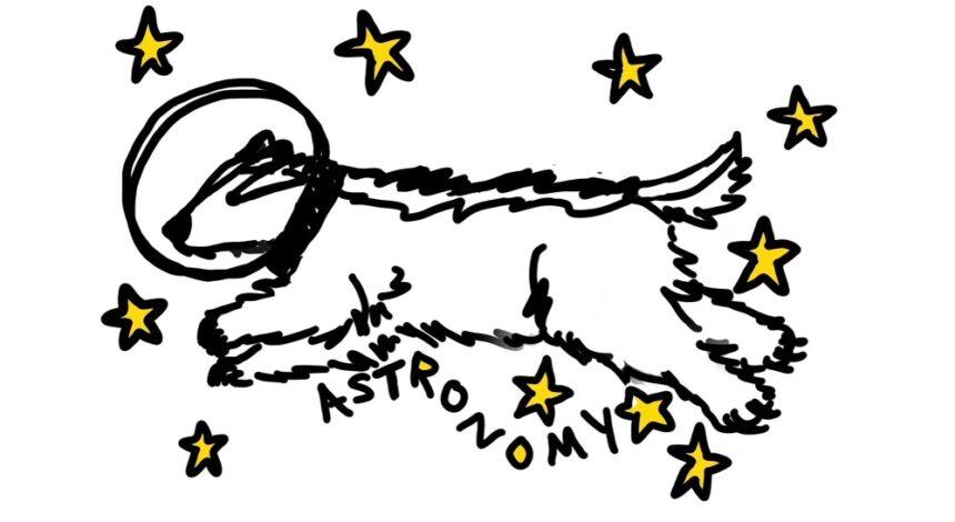 Astronomy Badger Doodle. Credit to Grace Edwards.