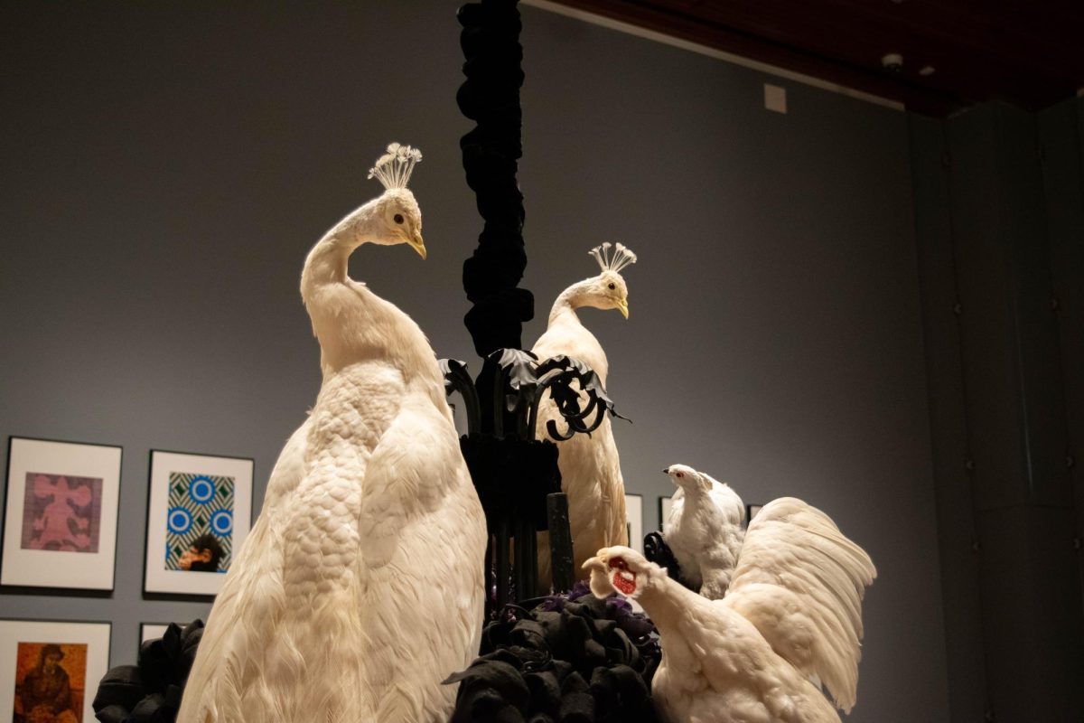 Sculpture with various taxidermized birds.