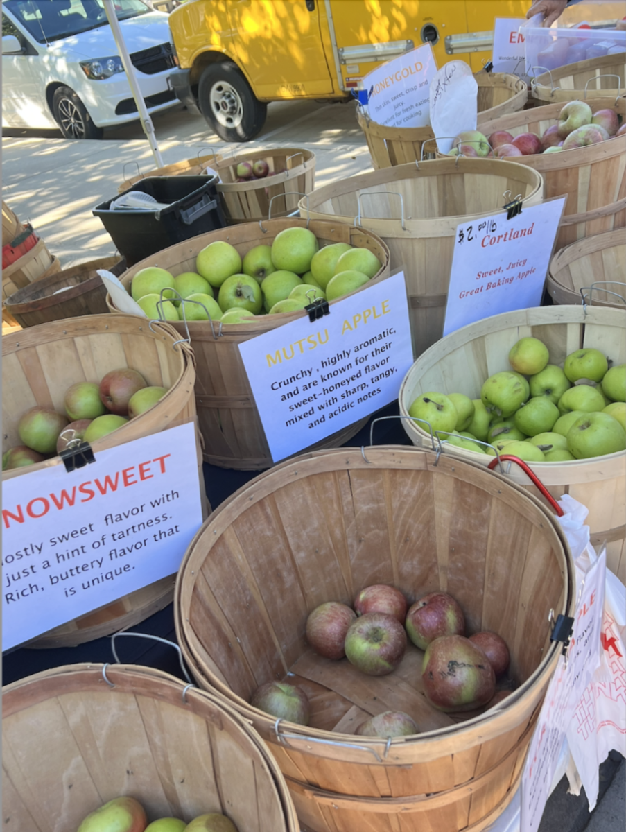 Assortment of apples at the Dane County Farmers' Market. Oct. 1, 2024. 