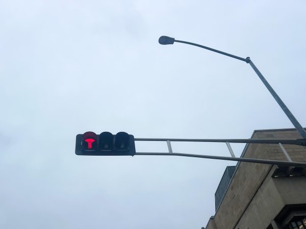 Stoplight on the University of Wisconsin campus. November 18, 2024.