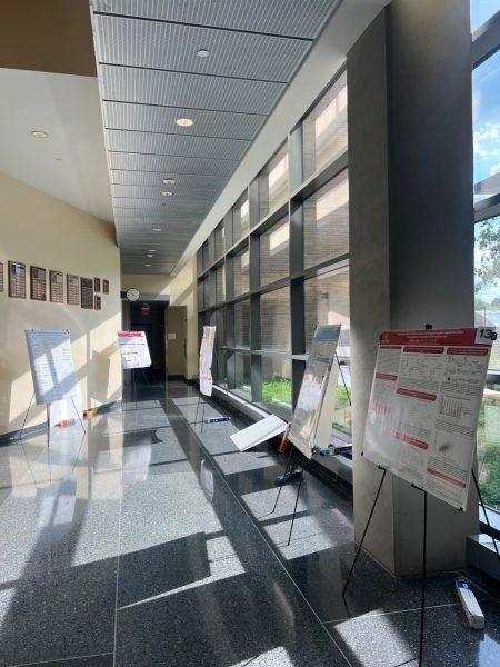 Posters at the Kenneth B. Raper Symposium Event. September 3, 2025.