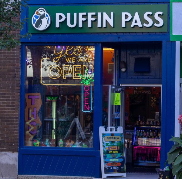 Front entrance to Puffin Pass, a smoke shop on State Street that sells vapes. September 28, 2025.