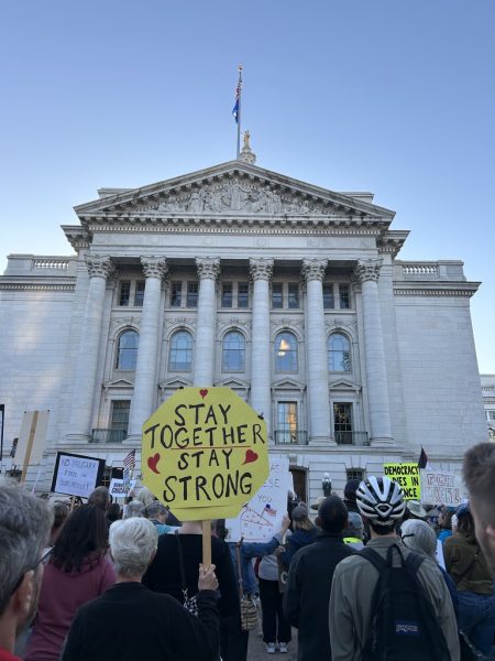 Protestors gather at State Capitol Building for 'Hands Off' Protest, rallying against ICE arrival in Chicago 