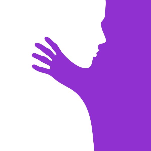 Wisconsin representatives propose ‘Purple Alert’ to protect domestic violence victims