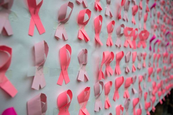 Pink ribbons, the official symbol of breast cancer awareness, line a display at the Do it in Pink Aerobathon at Fort Jackson. September 26, 2025. Photo taken from Picryl. 