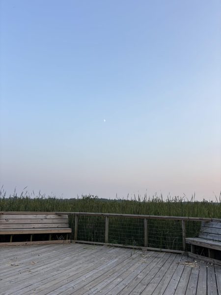 A photo of the Edgewood Boardwalk. August 2, 2025.